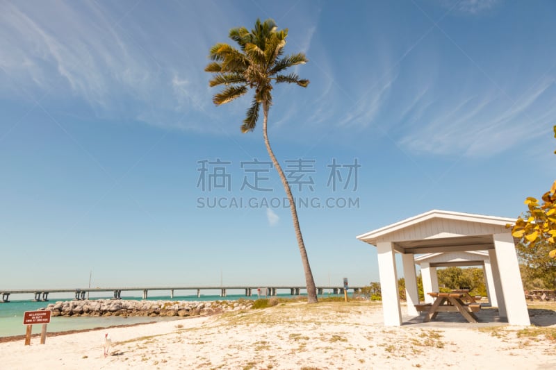 美国,海滩,巴伊亚州,本田,佛罗里达群岛,bahia honda key,基韦斯特,钥匙,热带气候,佛罗里达