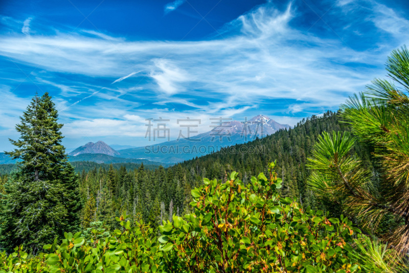 夏士塔山,北加利福尼亚州,黑色,野生动物,水平画幅,雪,熔岩,火山地形,滑雪运动,雷丁