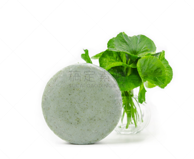 肥皂,清新,叶子,绿色,积雪草,印度草医学,水平画幅,无人,衰老过程,古老的