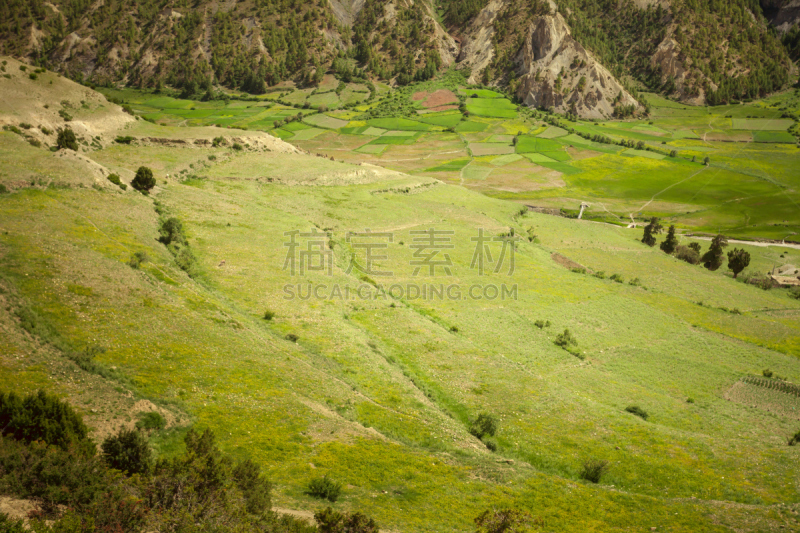 自然美,地形,安纳普纳生态保护区,安娜普娜山脉群峰,格陵兰,水稻梯田,水平画幅,山,无人,喜马拉雅山脉