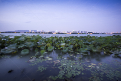夜晚,滨水,城市天际线,水,公园,荷花,水平画幅,无人,无锡,曙暮光