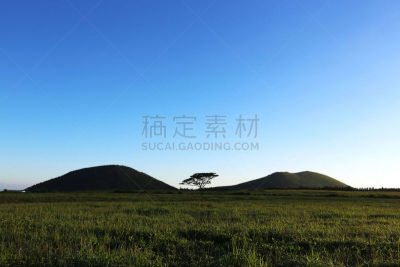 山,两只动物,在之间,庆州市,天空,美,水平画幅,枝繁叶茂,夏天,户外