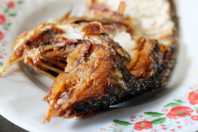 盘子,鱼类,白色,餐具,格子烤肉,饮食,水平画幅,膳食,海产,罗非鱼