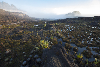 罗赖马山,陆地,火山,平顶山,canaima,委内瑞拉,南美,水,天空,水平画幅