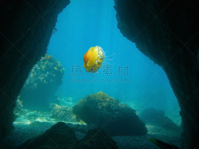 水下,水母,洞穴,出口标志,平衡折角灯,自然,在下面,水,野生动物,水平画幅