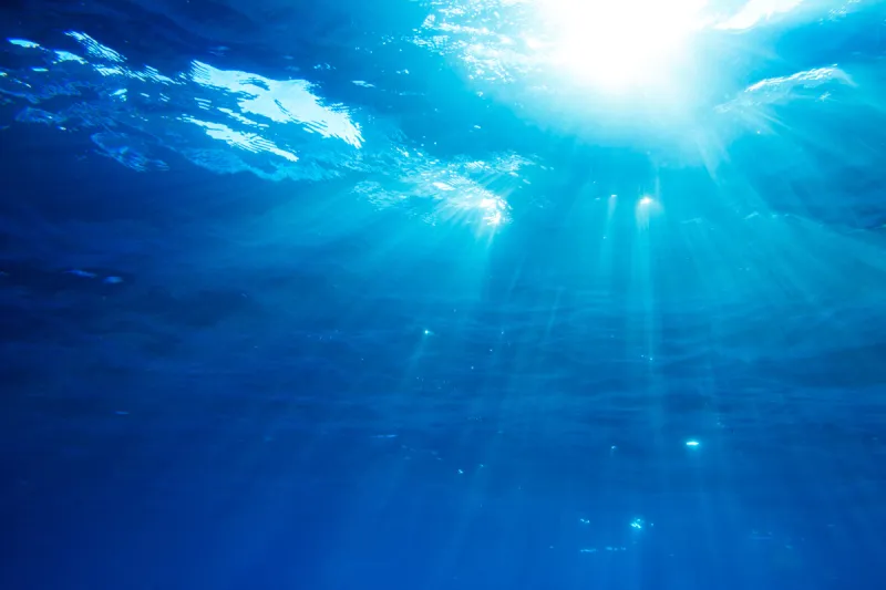 海洋 阳光光束 蓝色 水生动植物 水下 水面 光束 深的 波纹 在底端图片素材下载 稿定素材 海洋 阳光光束 蓝色 水生动植物 水下 水面 光束 深的 波纹 在底端图片素材下载 稿定素材