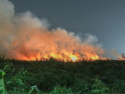稻草,田地,灰,全球变暖,干草,能源,夏天,干的,烟