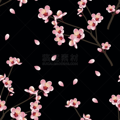 桃,花朵,黑色背景,油桃,李子,杏仁,樱桃,花瓣,越南,樱花