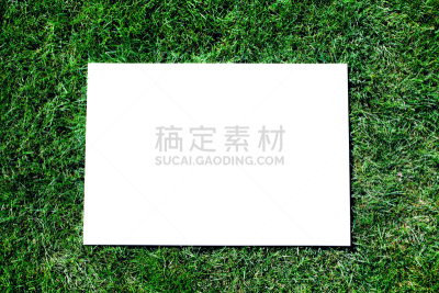 厚木板,公告信息,告示牌,水平画幅,无人,草坪,夏天,户外,草,模板