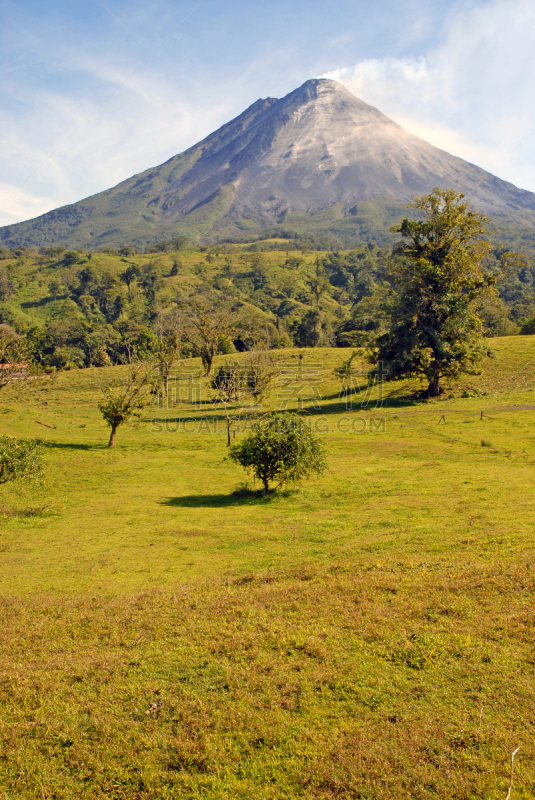 阿雷纳火山,哥斯达黎加,野生动物,环境保护,哺乳纲,动物,湖,大海鲢,户外,雨林