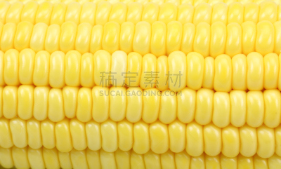 玉米,甜玉米,外壳,饮食,水平画幅,无人,有机食品,熟的,甜食,黄色