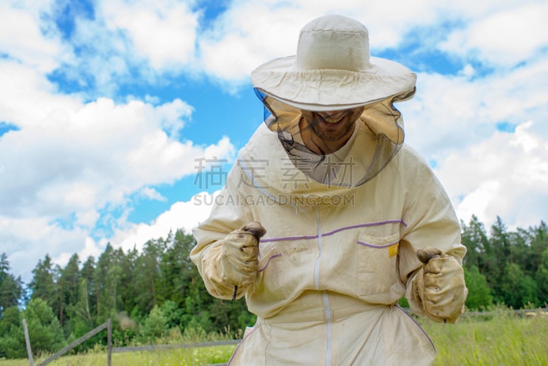 蜜蜂,蜂箱,beekeeper,草地,水平画幅,夏天,户外,蜂蜜,蜂王,过时的