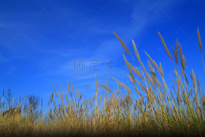 泰国,巨石阵,天空,美,水平画幅,草原,阴影,户外,石材,草