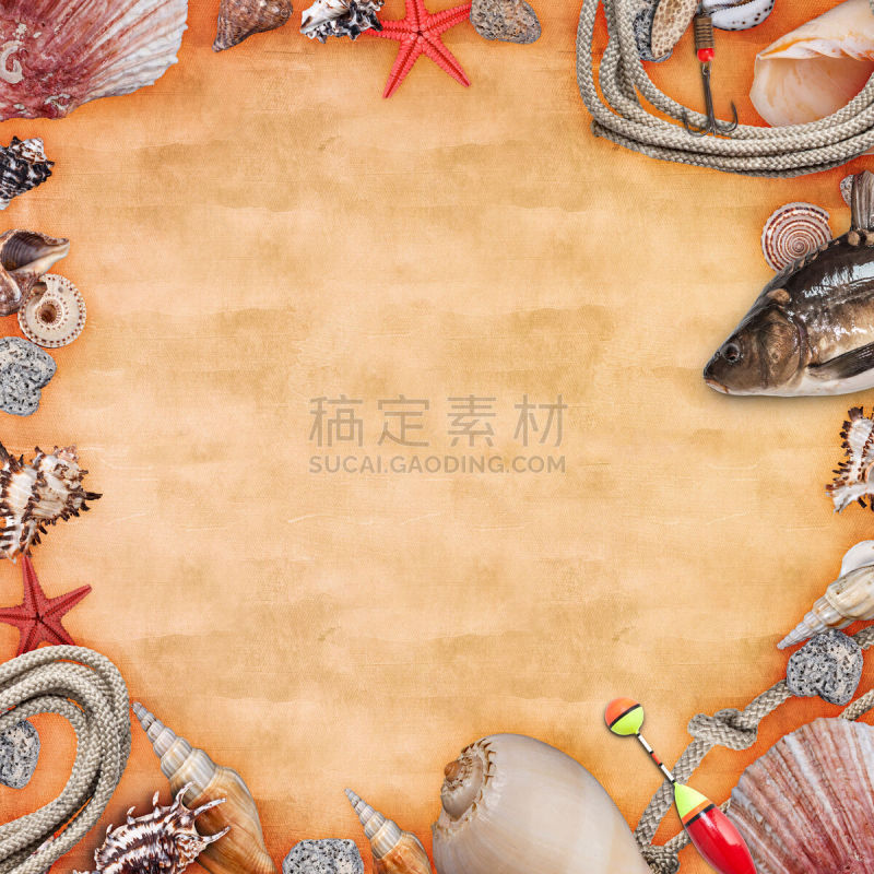 夏天,概念和主题,太空,边框,橙色,海螺,贝壳,木制,古老的,方形画幅