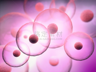 细胞核,三维图形,绘画插图,紫色背景,透明,生物学,创世纪,显微镜,球体