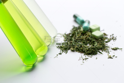 实验室,药,研磨食品,显微镜,孢子,青霉菌,科学实验,患病植物,白色,真菌