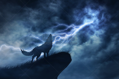 狼,雷雨,天空,暴风雨,水平画幅,夜晚,无人,月亮,野外动物,户外