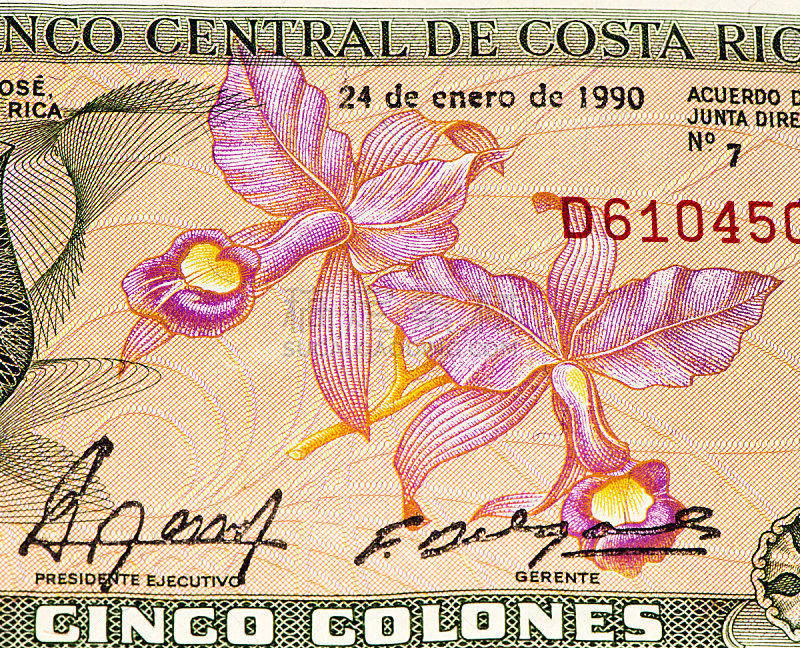 南美,水平画幅,银行,符号,金融,银行业,南,金融和经济,市场,哥斯达黎加