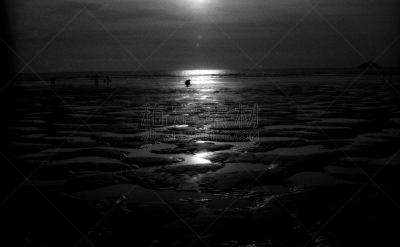 水坑,婆尔兹依斯海滩,伯尔奇思镇,海滩,水平画幅,无人,黑白图片,户外,反射,摄影