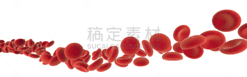 红细胞,白色,血流,毛细血管,病媒,血红蛋白,血细胞,血流动,动脉,放大效果