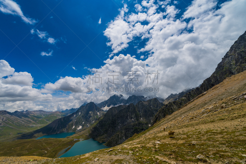 风景,山,广角,印度河,斯利那加,天空,洛矶山脉,雪,查谟和克什米尔,夏天