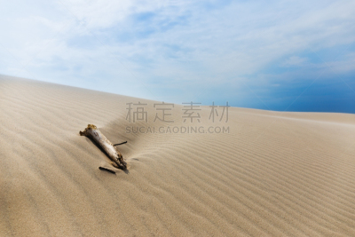斯卡恩,里,skagerrak,日德兰半岛,丹麦,水,旅游目的地,水平画幅,码头,地形