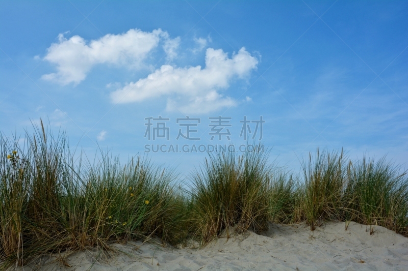 德国北海地区,海滩,沙丘,海岸线,燕麦,天空,滨草,度假胜地,休闲活动,水平画幅