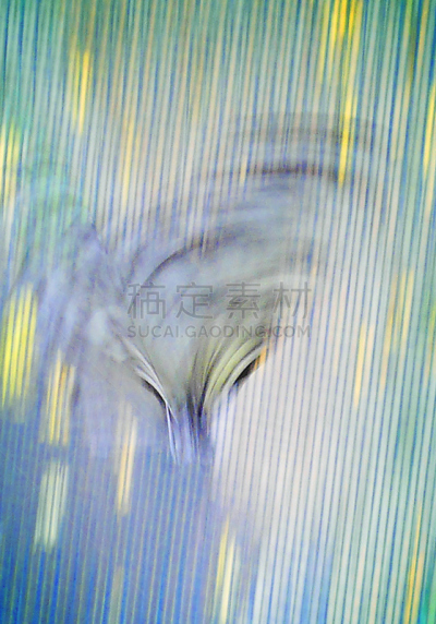 垂直画幅,拍摄场景,相机,式样,长时间曝光,图片视觉效果,裁缝样式,无人,日本,背景