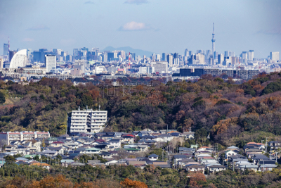 叶子,秋天,建筑体,摩天大楼,居住区,东京天空树,东京塔,新宿区,东京,横滨