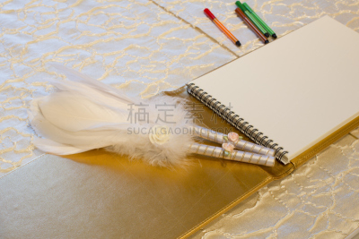 婚礼,结婚登记,鹅毛笔,留言簿,女人,水平画幅,人,仅成年人,书,男人