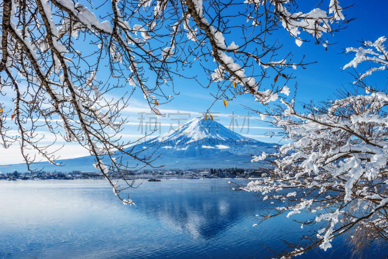 河口湖,富士山,黎明,背景聚焦,富士河口湖,水平画幅,雪,无人,早晨,户外