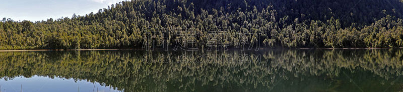 全景,森林,湖,普耶韦国家公园,水平画幅,无人,风景,户外,泻湖,智利
