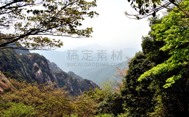 黄山山脉,中国,陡峭,安徽省,永远,松科,松树,天空,水平画幅,地形