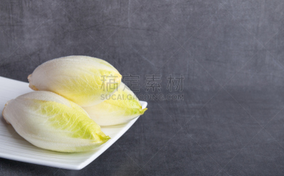 fresh belgian chicory isolated