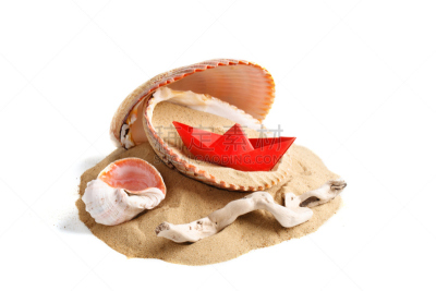 沙子,贝壳,夏天,海洋,水,美,留白,边框,水平画幅,档案