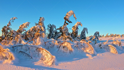 天空,冬天,松树,地形,蓝色,雪山,休闲活动,水平画幅,雪,无人