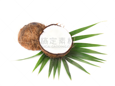 清新,分离着色,椰子,热带水果,叶子,白色背景,奶制品,坚果,营养学家,奶昔