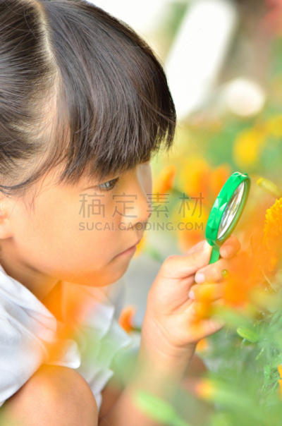 虫めがねで花を観察する女の子