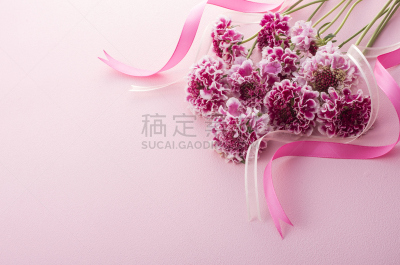 春の花