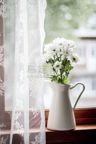 白色,雏菊,花束,雏菊花环,花边,茼蒿菊,窗帘,农业,水壶,贺卡