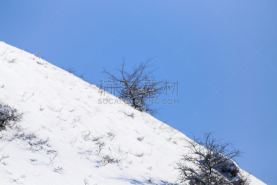 海洋,天空,雪,白色,哈萨克斯坦,人,野生动物,风景,一个人,风景线拱