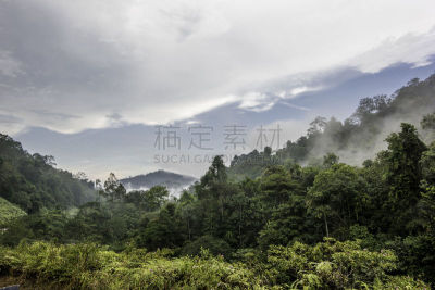塔曼尼加拉国家公园,马来西亚,自然,国家公园,水平画幅,山,无人,热带雨林,户外,云景