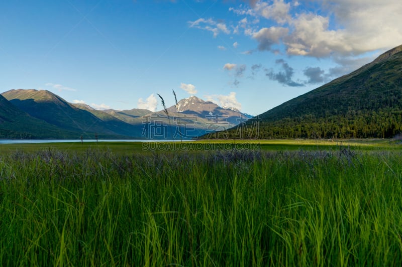 伊克鲁特纳湖,风景,安克雷奇,在上面,水,天空,美国,格德伍德,水平画幅,无人