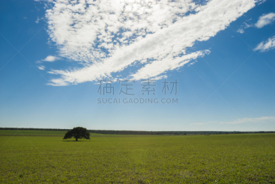 地形,潘帕斯大草原,自然,南美,天空,阿根廷,水平画幅,绿色,蓝色,巴塔哥尼亚