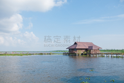 传统,乡村,蓝色,湖,宁静,素攀武里府,园艺锄,暹罗斗鱼,竞赛组,水