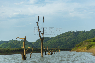 泰国,田地,风景,热带雨林,天空,美,水平画幅,无人,丁字裤,夏天