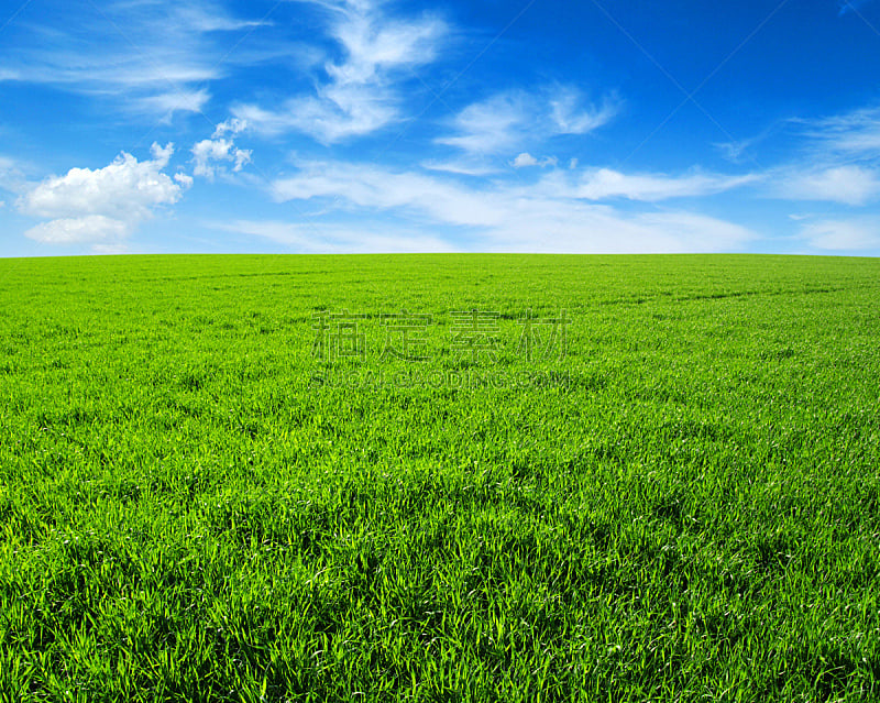 田地,天空,草地,水平画幅,绿色,地形,无人,蓝色,草坪,户外