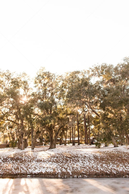 雪,南卡罗来那,希尔顿赫德,垂直画幅,水,天空,沙子,林区,灯塔楼,光