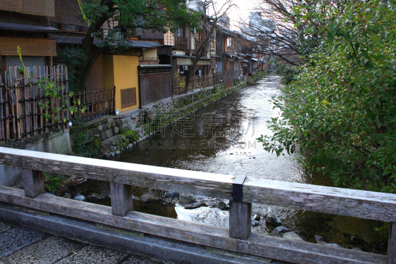 祗园,白川乡,无人,亚洲,京都府,近畿区域,植物,城镇景观,图像,水平画幅