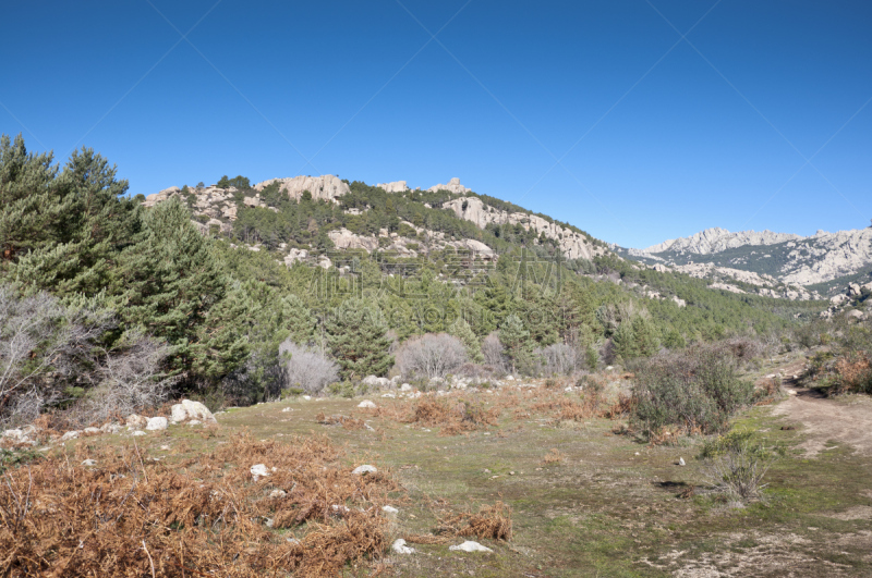 垃圾填埋场,曼沙那列士村,瓜达拉马山脉,欧洲赤松,水平画幅,山,无人,户外,石头,著名自然景观